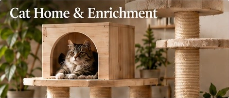 Cat Home & Enrichment