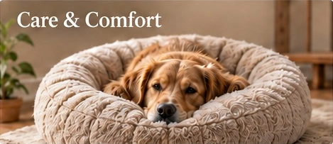 Care & Comfort